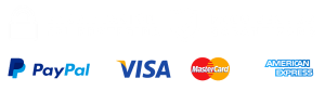 pago-seguro-23